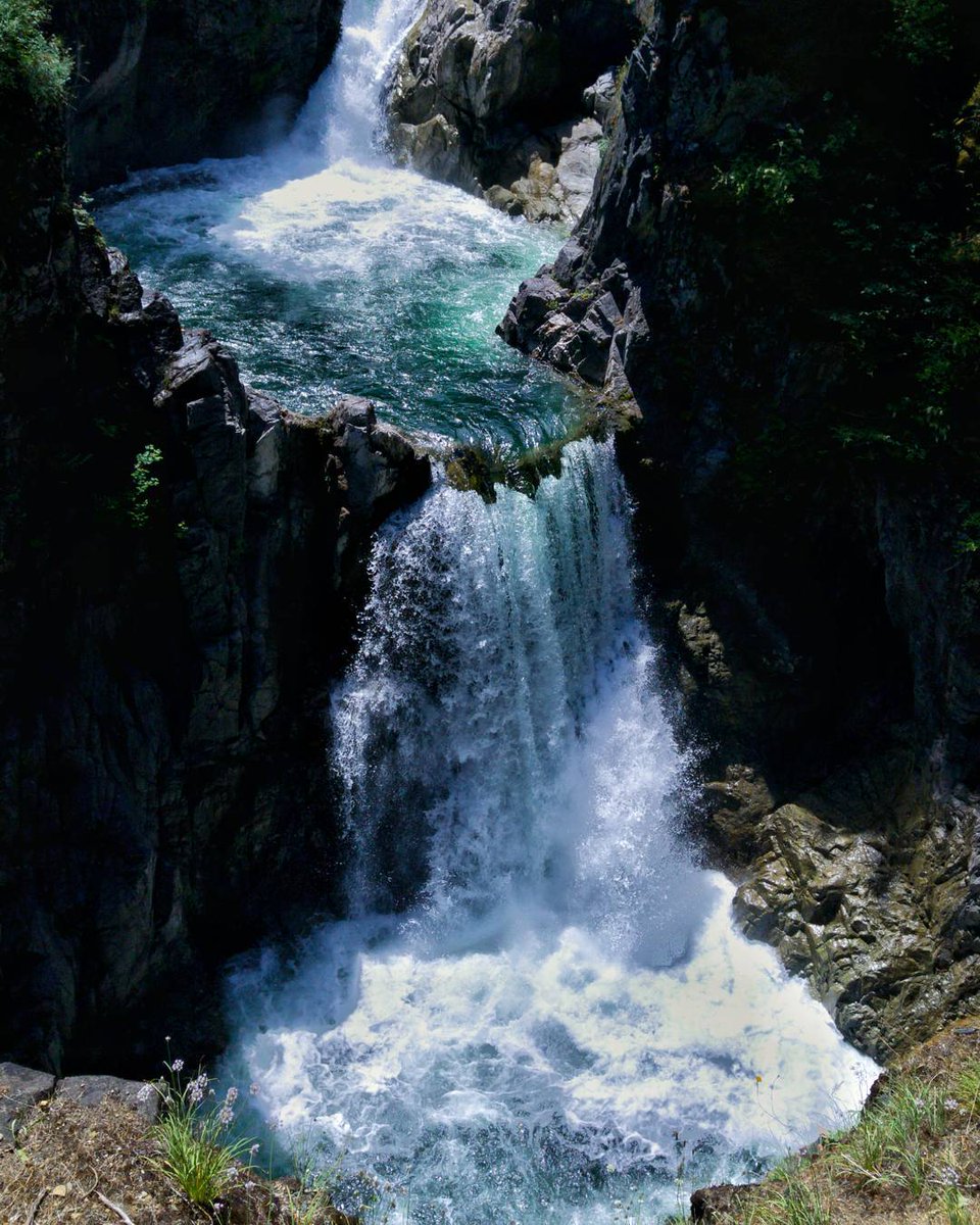Go chasing waterfalls (and rivers and lakes) on the West Coast in Little #QualicumFalls Provincial Park! This British Columbia beauty located on #VancouverIsland is filled with spots for hiking, swimming and camping! 🏕️ #TravelTuesday 📷:farrah.vh/IG