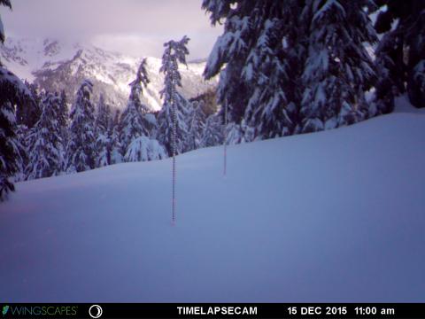 NASAEarthData's tweet photo. New GPM GV #data from #OLYMPEX campaign- Snow Depth Monitoring System dataset incl. snow depth, temperature +relative humidity measurements collected using snow depth poles, time lapse cameras, temperature/relative humidity sensors + manual #snow surveys. https://t.co/AUagLyNkxt https://t.co/jn4ccbDNcd