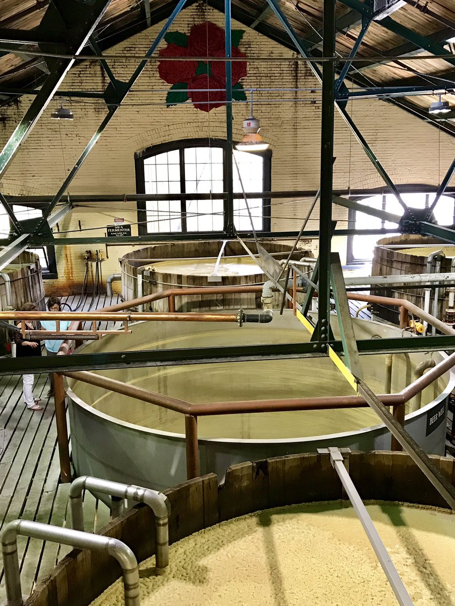 Everything's coming up roses #fourrosesbourbon #kentuckybourbontrail #bourbon #kentucky #whiskey #distillery #distillerytour #fourroses