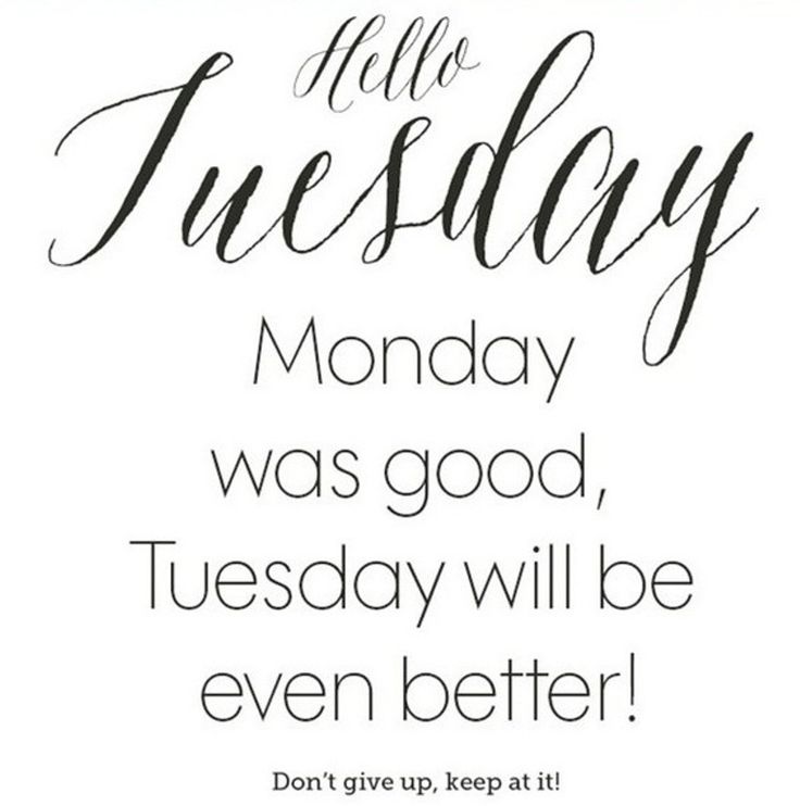 Bling_Chicks's tweet photo. Hello STRONG Ladies - Be STRONG today and always find the good in others. https://t.co/bF47doy5v8