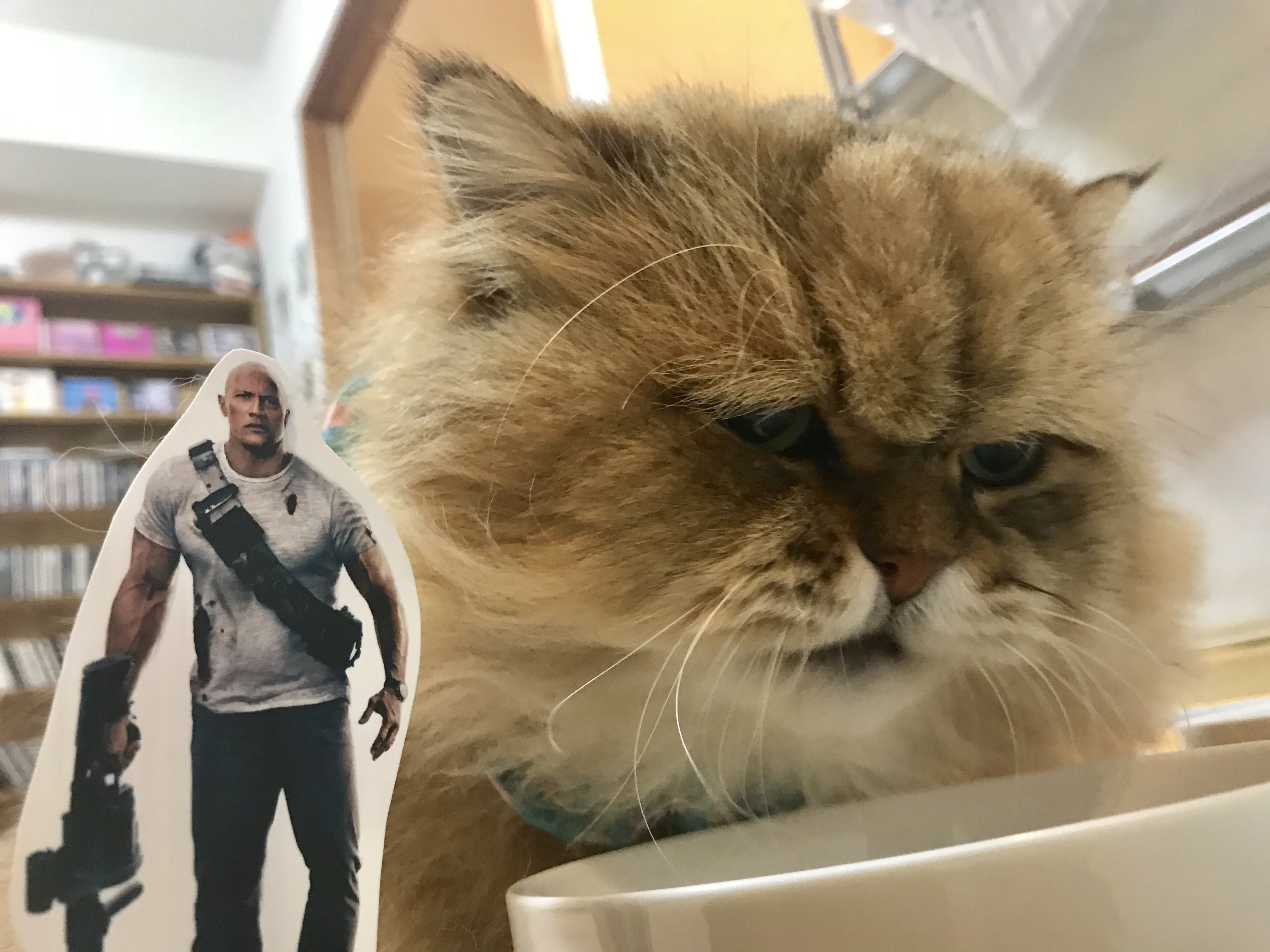 興奮が止まらない ランペイジ 巨獣大乱闘 感想ツイートまとめ Twitter