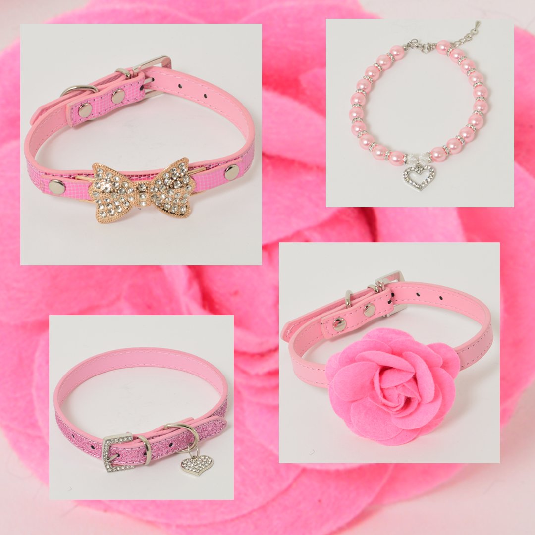 HigginsandLyla's tweet photo. #PrettyInPink New collars available https://t.co/ELjS9WWXCp FREE delivery orders over £12
#dog #dogs #dogcollars #pink #sparkle #higginsandlyla #getthelook #celebdogs #puppylife #puppies #doglove #dogstyling #dogaccessories #smartdoggy #pinkpooch #pinktomaketheboyswink https://t.co/0UCJqR7qai