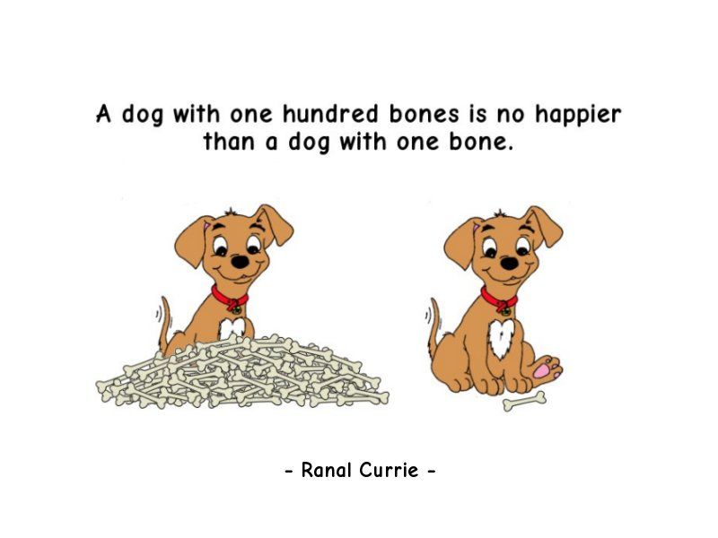 Why Do Dogs Bring You Their Bones