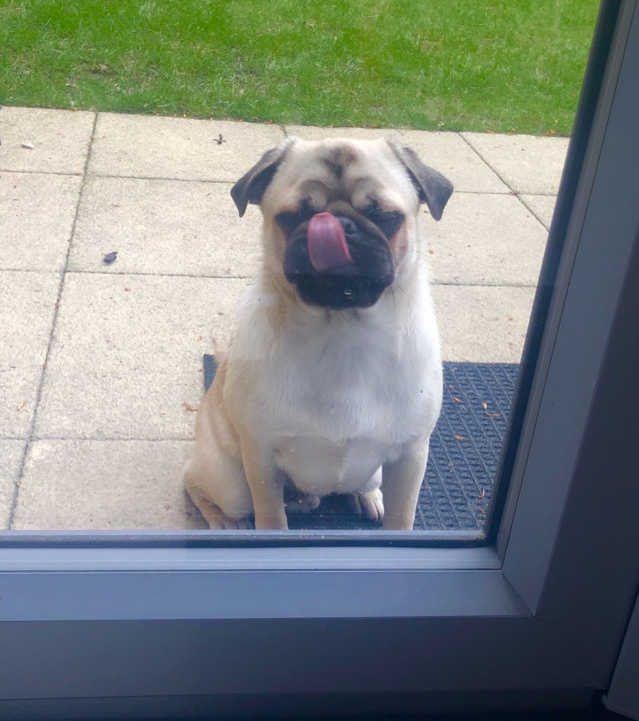 Woof