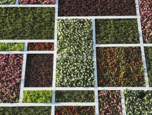 PortlandPHLUSH's tweet photo. Beijing’s newest restroom has “green" walls of colorful plants and flowers. https://t.co/5k0AcUuWjz #toilet #restroom #washroom #design #civic #pride https://t.co/pAYizr5qCo