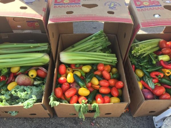 ThisGoodWorld's tweet photo. New to the #ThisGoodWorld platform, @FCPickersROC is a secular, all inclusive group of volunteers distributing leftover market produce to local homeless shelters & other organizations with need for food within the Rochester, NY region. https://t.co/9On9oge5St https://t.co/8HiFAaowpz