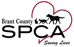 Join the Brant County SPCA at the 'Fore The Animals' Golf Tournament! June 15th at the Oakes of St. George it's going to be fun and so supportive for this very worthy cause.  For more info click here:  ow.ly/DljF30jh4QC ow.ly/d/7tWL