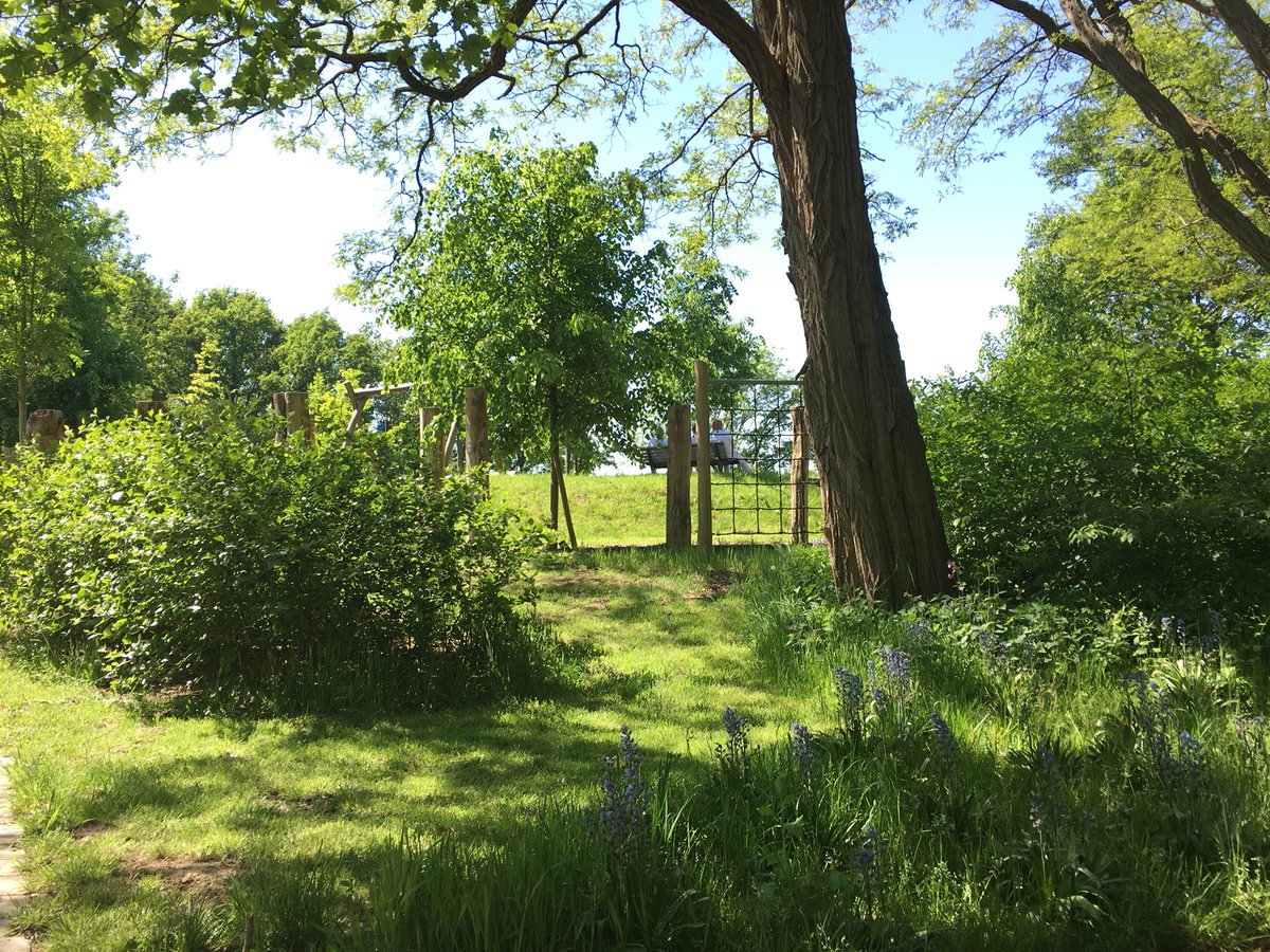 WelmoedBV's tweet photo. Prachtig groen nu in het MeanderPark, ook de ganzen doen een wandelingetje #revalidatietuin #inspiratiepad #vriendenvanmeander #Eem @MeanderMC https://t.co/WhfhNYCupC