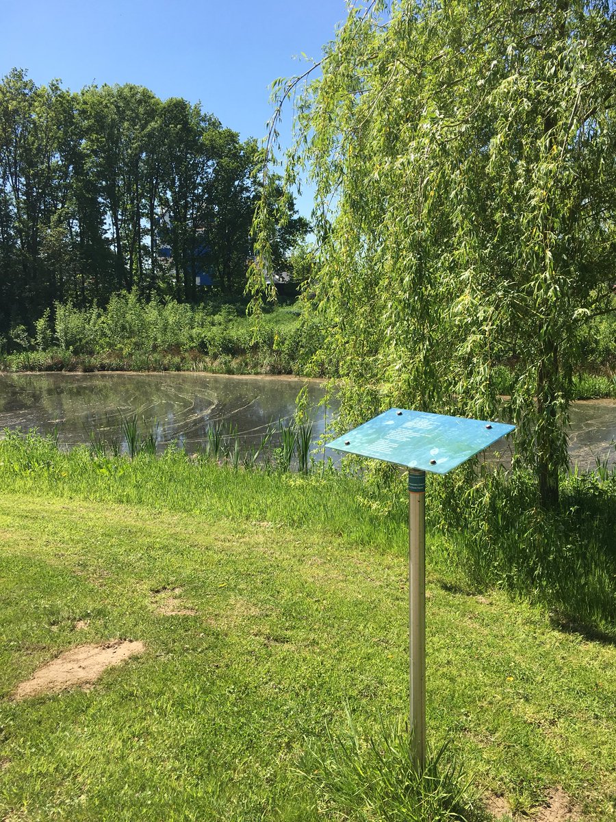 WelmoedBV's tweet photo. Prachtig groen nu in het MeanderPark, ook de ganzen doen een wandelingetje #revalidatietuin #inspiratiepad #vriendenvanmeander #Eem @MeanderMC https://t.co/WhfhNYCupC