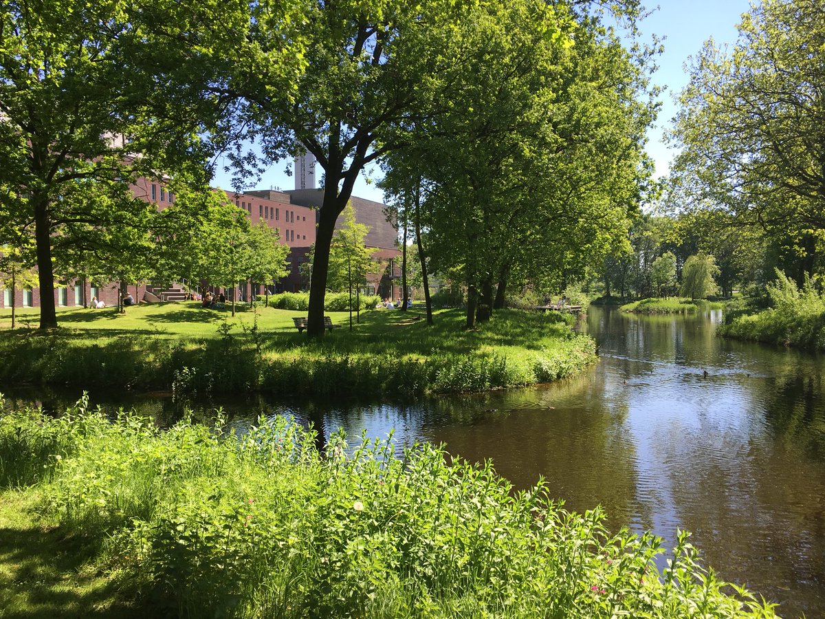 WelmoedBV's tweet photo. Prachtig groen nu in het MeanderPark, ook de ganzen doen een wandelingetje #revalidatietuin #inspiratiepad #vriendenvanmeander #Eem @MeanderMC https://t.co/WhfhNYCupC