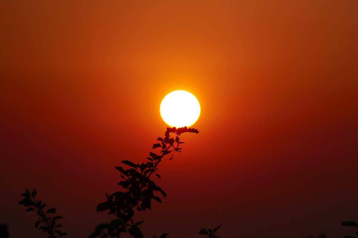 SomethingOnlyWe's tweet image. Quand tu profites d'un coucher de soleil pour tester la qualité de ton appareil... 😁📹