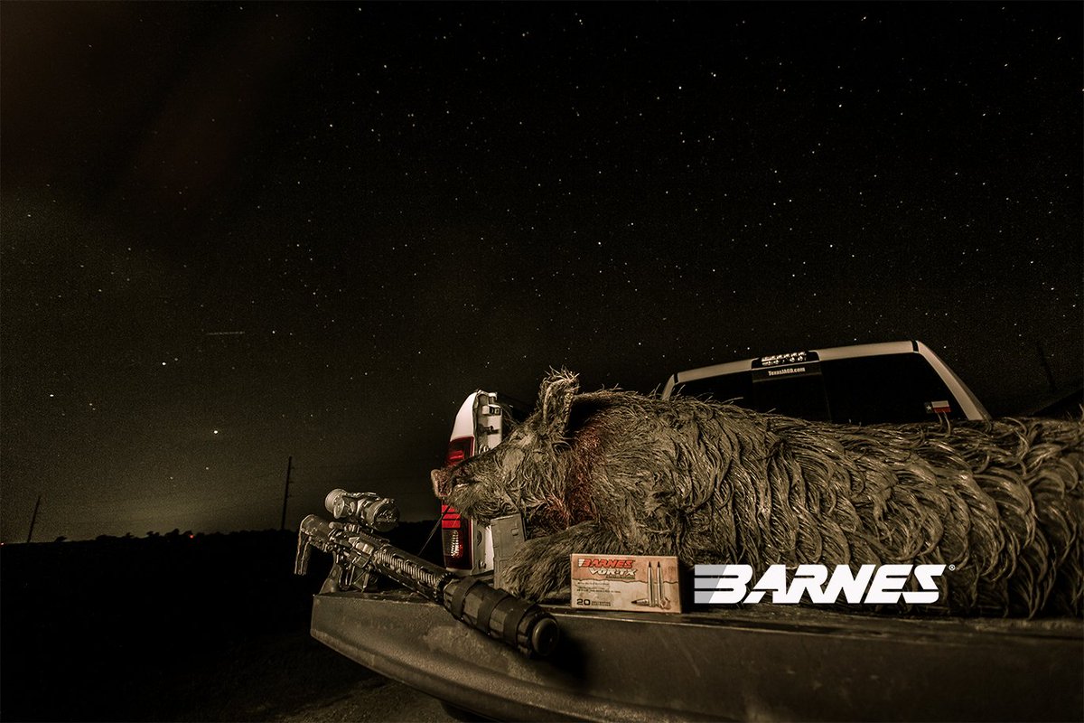 BarnesBullets's tweet image. Under beautiful night skies. @ATN_NightVision @texasjagd #barnesbullets #tactx #300blackout