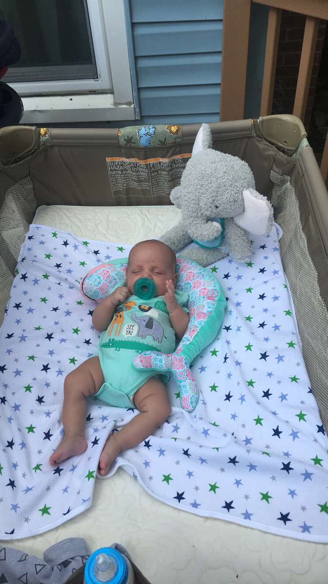 lullabiess__'s tweet photo. My love https://t.co/RfPIukDqsA