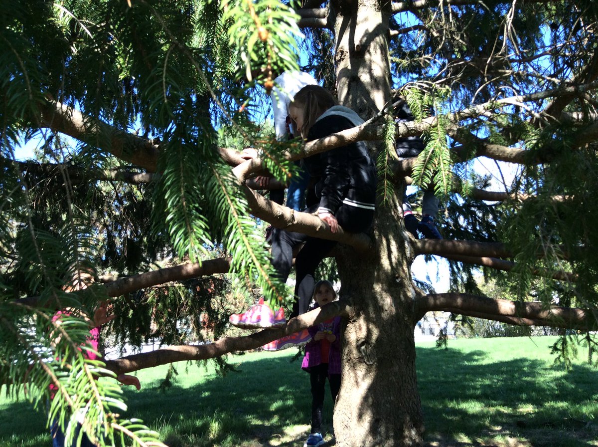 SallyMcKay2's tweet photo. Not all classrooms have 4 walls! #STMTCourtice #pvnclearns https://t.co/vXgprTdio7