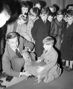 76. Here is David Attenborough with a Capybara.Everyone knows that Capybaras are exraordinarily friendly.Even still, I'm sure this Cabybara is extra happy to have made a friend in David Attenborough. #AttenboroughDay #Attenbirthday