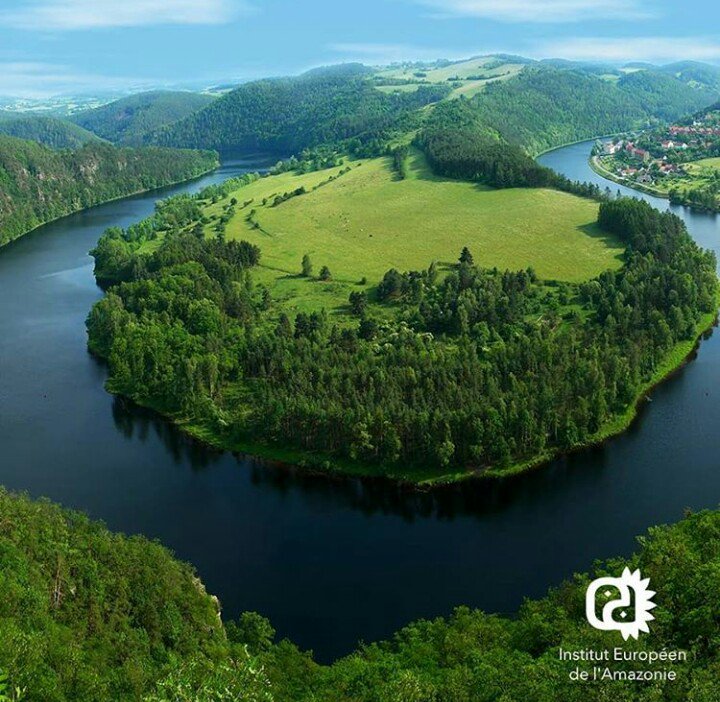 ieamazonie's tweet photo. La jungle amazonienne a des arbres qui dépassent 20 mètres de hauteur et, seulement depuis 1990, un total de six nouvelles espèces de singes ont déjà été découverts. https://t.co/oipHZn7YVb