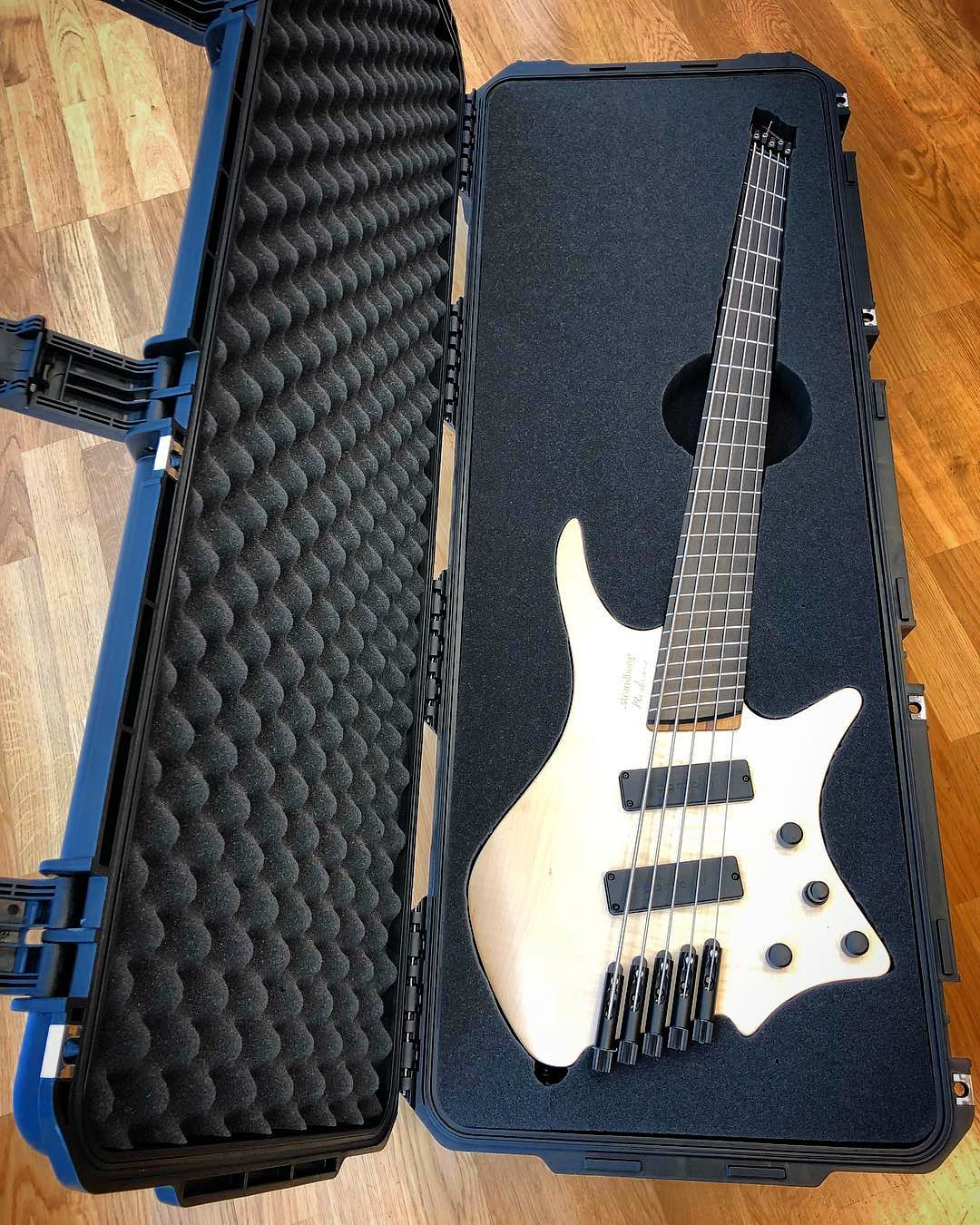 Strandberg sale hard case