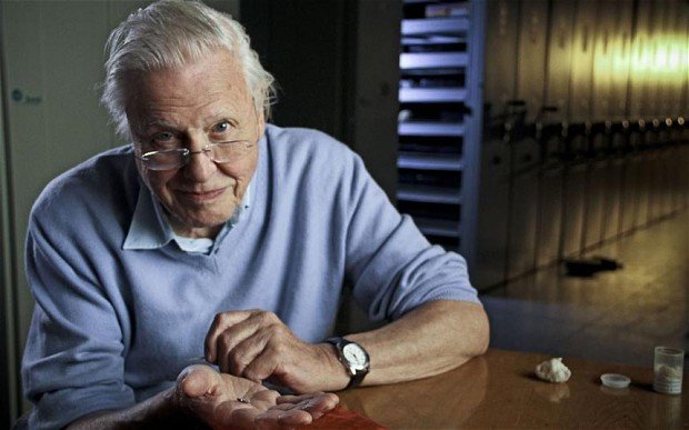 78. David Attenborough likes very little things. #AttenboroughDay #Attenbirthday