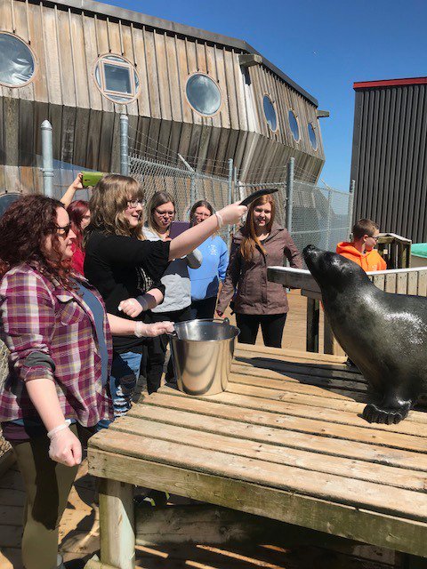 munocean's tweet photo. @StPetersAG15 got a chance to visit  us today and learn about #oceans #marinebiology #harpseals @coastalXnl @MUN_Science https://t.co/1yYZm92wnU