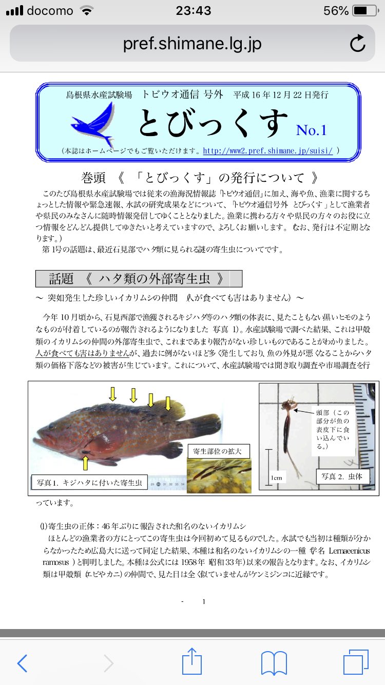 つりたりあ En Twitter 古い記事だけど興味深いやつを 山口の日本海側でかれこれ10匹ほどアコウ釣ってるけど 確かに1匹だけイカリムシが着いてた W H16では島根県1部だけみたいやったけど 現在山口でもついてたんだから定着してますやん 当時イカリムシ