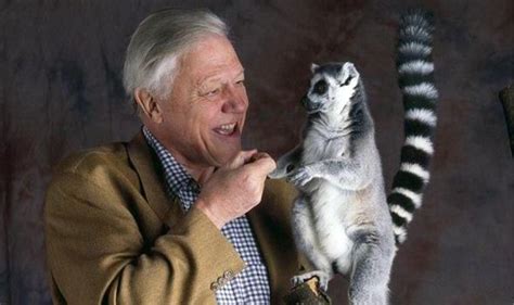 80. And David Attenborough likes everything else in between! #AttenboroughDay #Attenbirthday