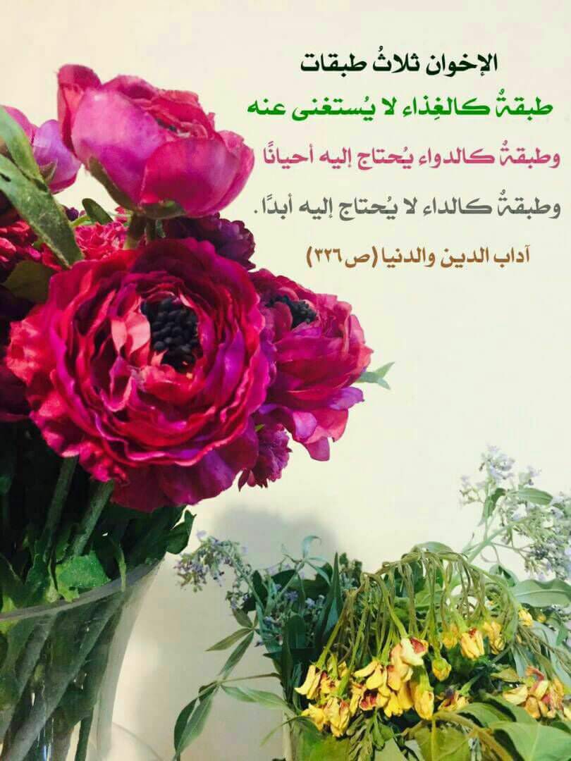 sh00sh00100's tweet photo. 🔻الاخوة الدينية نعم الاخوة والله خير حتى من الاخوة في النسب ومن جرب سيعرف...

قال بعض الصالحين :
وأين مثل الأخ الصالح؟!
أهلك يقتسمون ميراثك وهو قد تفرد بحزنك يدعو لك وأنت بين أطباق الأرض.
دعواتكم لنا بظهر الغيب🍃🌼 https://t.co/ELK4xFojQb