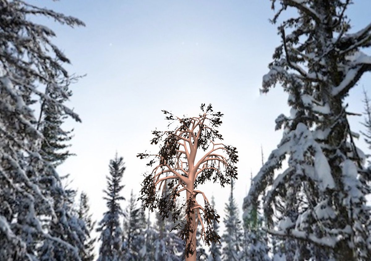 PeeksIo's tweet photo. Thank you @super_eggbert you made it super simple to create a @glTF3D procedural tree using https://t.co/bJNsdY4VQn so we can integrate it into a peeks viewer to mix it with 360 environments! So cool #gltfRocks #indiegame #trees https://t.co/QOWVygd5mB