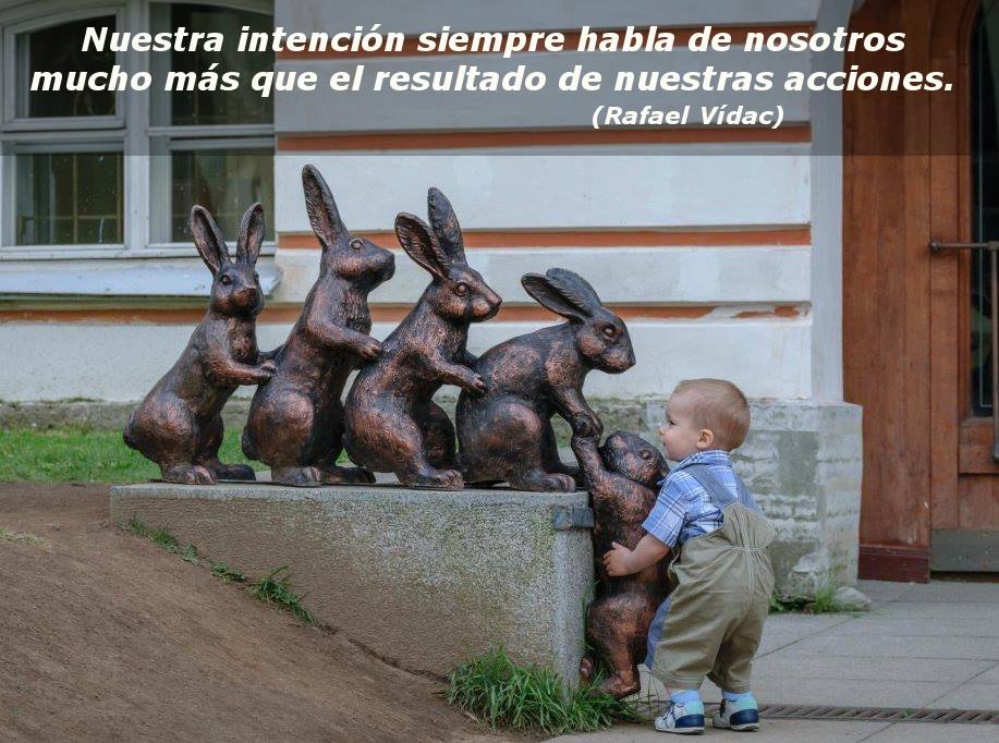 Rafael Vídac ★ tweet media