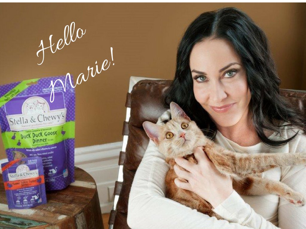 sandrayanceyEWN's tweet photo. Hello Marie Moody of @StellaandChewys! She's a rockstar #entrepreneur! #2yoursuccess #TuesdayMotivation https://t.co/1xcBjCsvCV