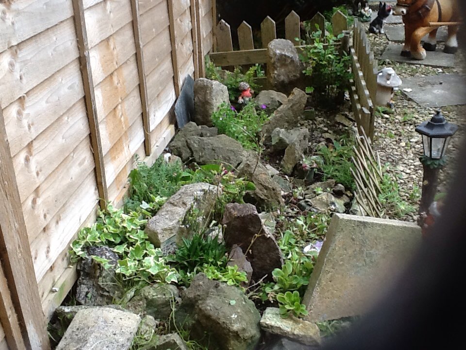 Jasonevans (@jasonev17800561) on Twitter photo 