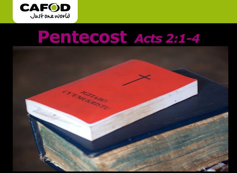 CAFOD Schools tweet media