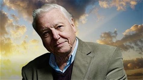 85. So, thank you, David Attenborough. #AttenboroughDay #Attenbirthday