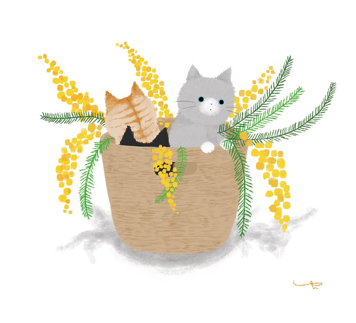 Twitter पर ゆい ミモザは小さいお花がたくさんついていて可愛いなと思います Illustration Art Drawing Animal Cat Flowers Mimosa イラスト 動物 猫 花 ミモザ