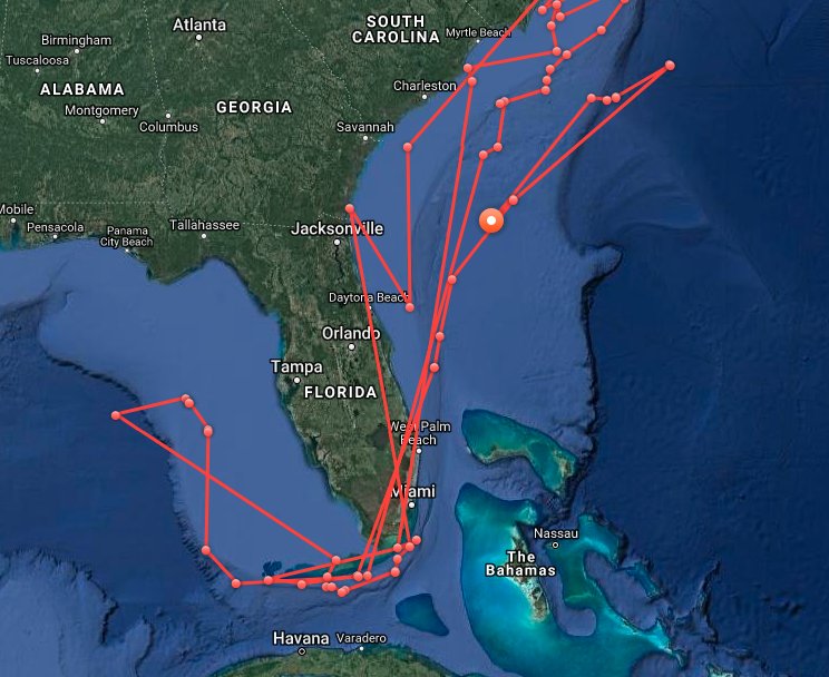 OCEARCH's tweet photo. White shark @MissCostaShark pings in off the coast of Jacksonville, Florida. It looks like she may be coming back after a quick visit to deeper waters. Do you think she’ll head north or south next? https://t.co/TsragXjxZ7