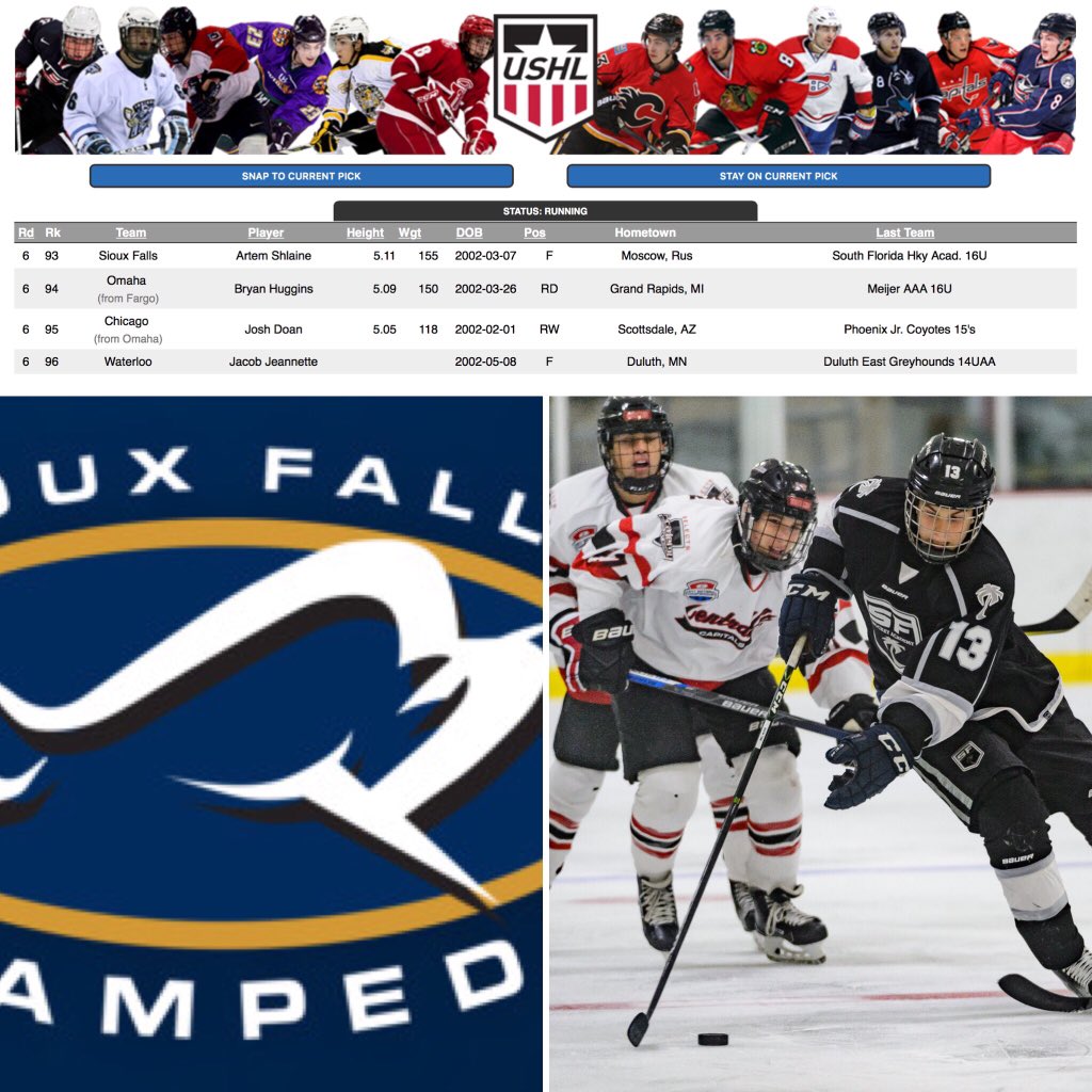 Congrats to Artem Shlaine -> SFHA U16 stats leader for getting drafted by Sioux Falls Stampede in the <a href="/USHL/">USHL</a> draft last night!! #SFHA #USHL #futuresdraft #exposure #whosnext #AAAhockey #Academy #hockeylife #nextlevel