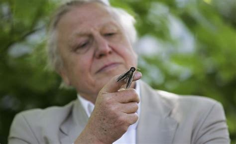 92. HAPPY 92nd BIRTHDAY DAVID ATTENBOROUGH!!! #AttenboroughDay  #Attenbirthday