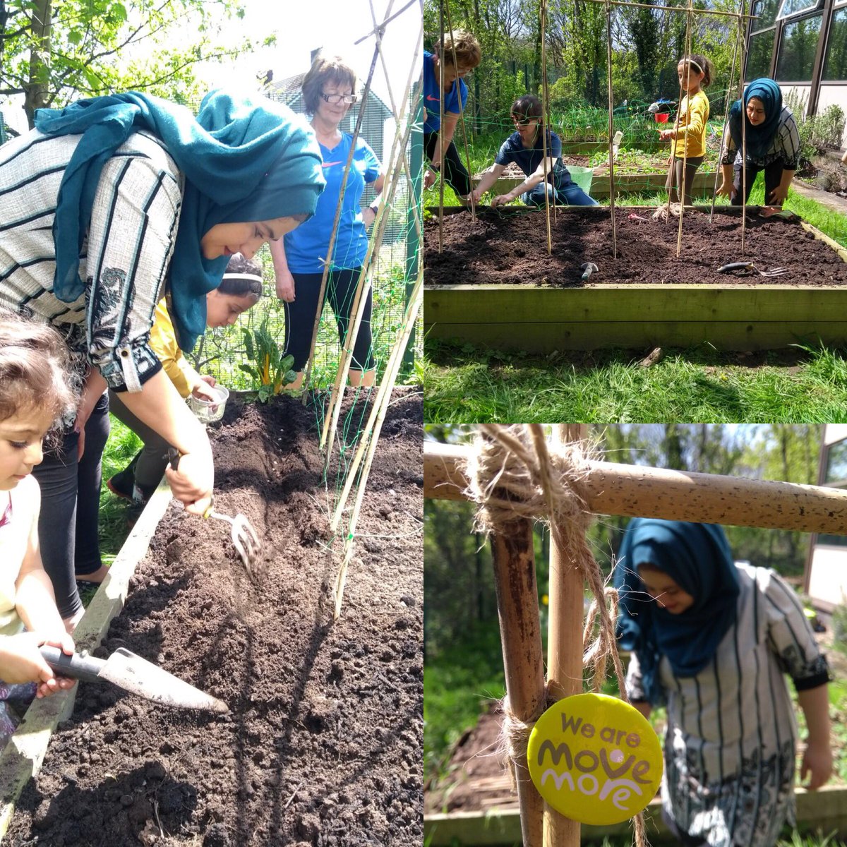 terminus_the's tweet photo. Some lovely photos from our gardening session at the weekend @HeeleyCityFarm @movemoresheff https://t.co/Aqf9IoP0yc