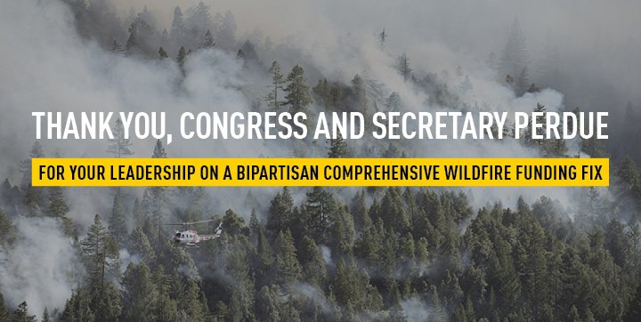 AmericanForests's tweet image. Thanks to the addition of the #FireFix in the omnibus bill, @forestservice has the necessary  resources to fight intense wildfires and keep surrounding communities safe. We appreciate the hard work of all leaders involved in this historical action! @SecretarySonny #FireFixed