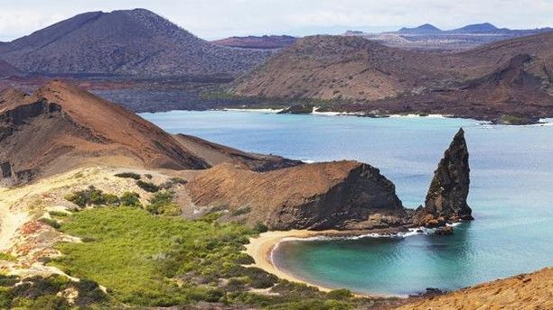 Edforce_Steel's tweet photo. The Galapagos Islands // Beautiful, Colorful, and Full of Life

#edforce #edforcesteel #steelusa #style #menswear #mensfashionpost #mensfashion #fashionablemen #mensstyle #mensstreetstyle #nyc #rings #bracelet #necklace #jewelry #swag #handmadejewelery #fashionjewelry https://t.co/3f2DyhBxNK