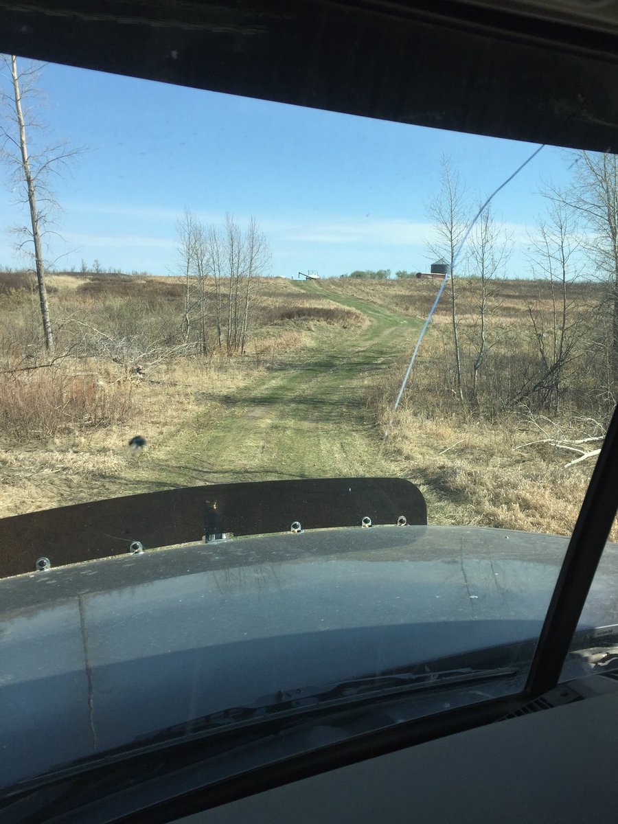 SheldonJEast's tweet photo. Best field on the farm is the nastiest to get to. https://t.co/GdvFigpHia