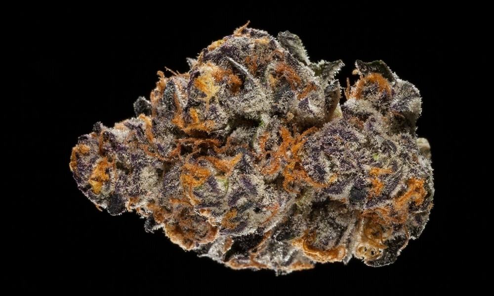 HIGH_TIMES_Mag tweet picture