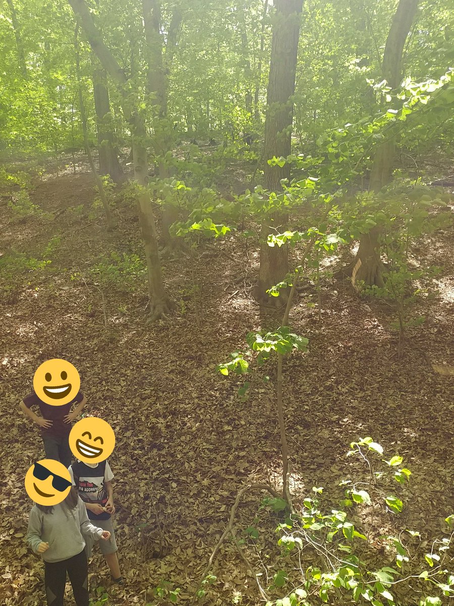 MrEthanMath's tweet photo. In the woods, student says "there's a lot of math in nature. The symmetry of leaves, the slope of sightlines, the parabolic path of objects in free fall..." https://t.co/wZhegP06ap