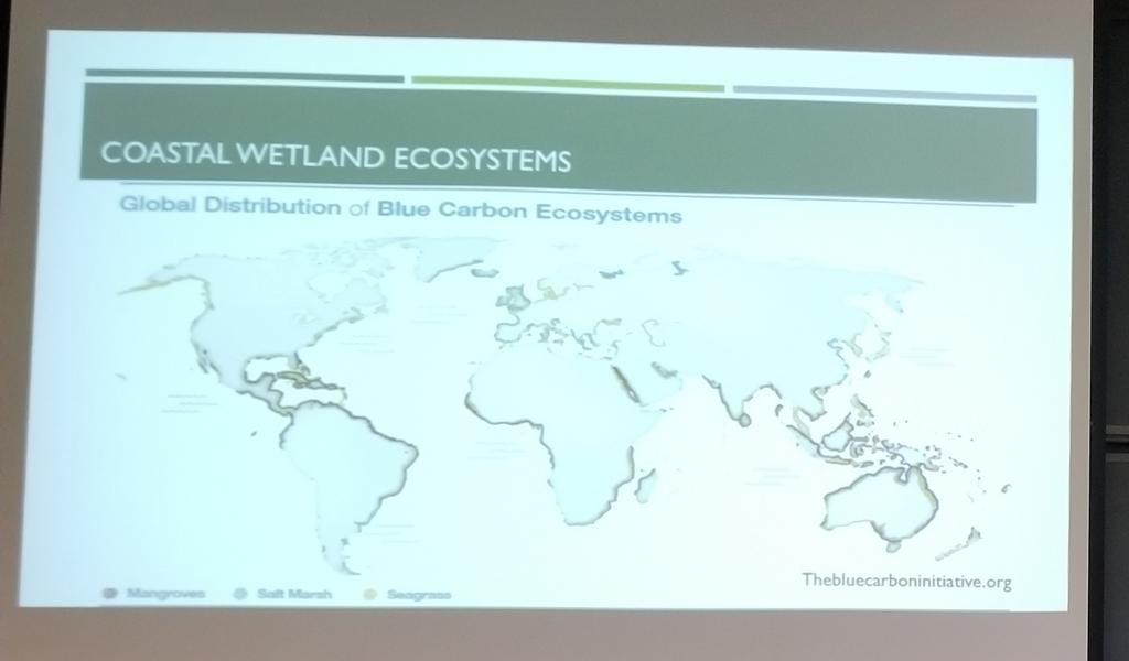 TJMozdzer's tweet photo. Congratulations @pweb14 and Jen Laske on defending you thesis @BrynMawrCollege Biology! So proud of your excellent work! #Phragmites #BlueCarbon #Spartina #nitrogen #WomenInSTEM @TIDEProject @SmithsonianEnv @RasBuck #TeaComposition #TeaCompositionH2O https://t.co/5sgApFWhTm