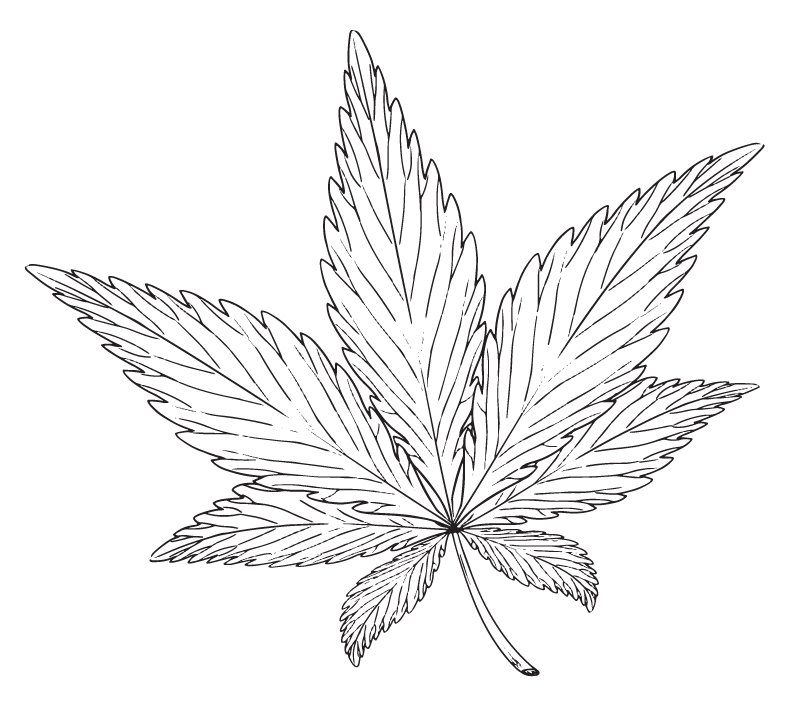 NIDAnews's tweet photo. New research may help explain why #marijuana can make some people depressed or anxious:https://t.co/vA1t6Cqscf #NIDANotes https://t.co/2NjefSEauh