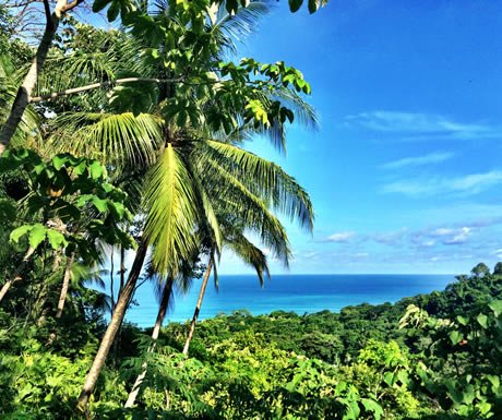 A Luxury Travel Blog tweet media