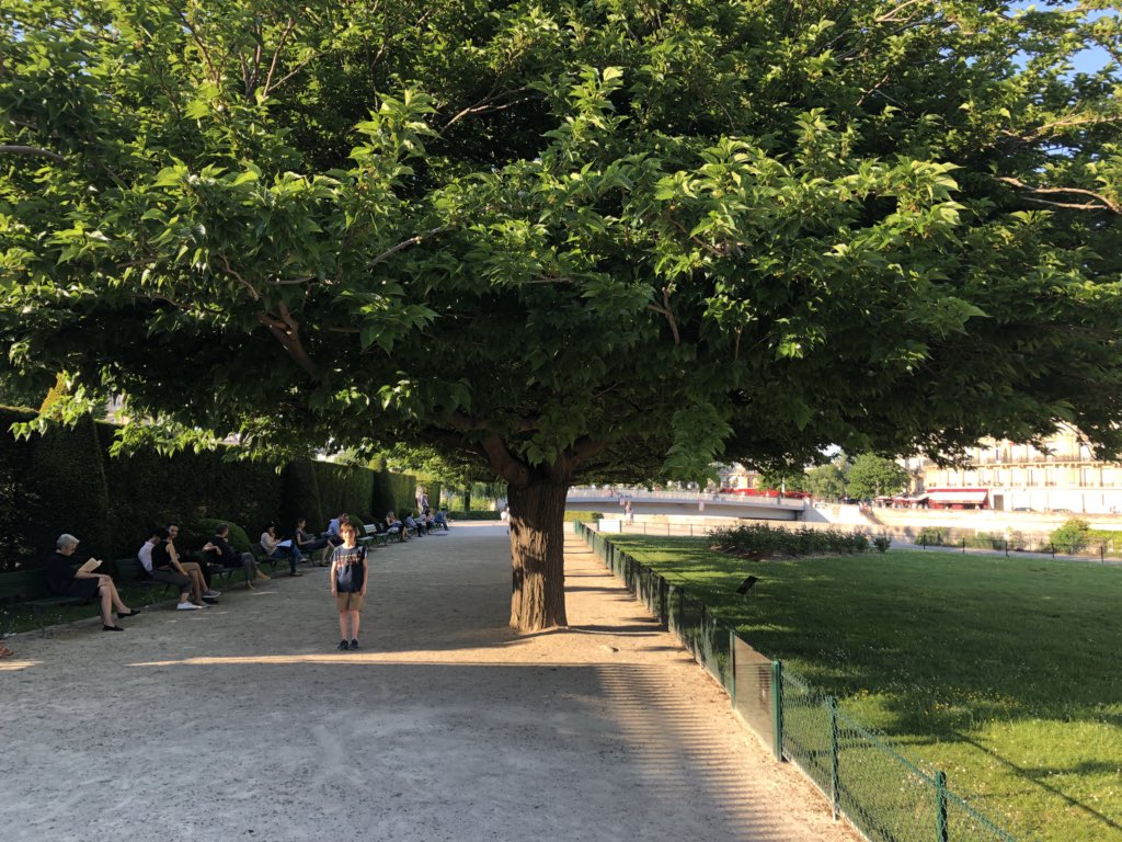 zedarchitects's tweet photo. Control of all things seems very important to the French including their landscapes and to beautiful effect in the case of the urban trees https://t.co/1szKtfjVt1
