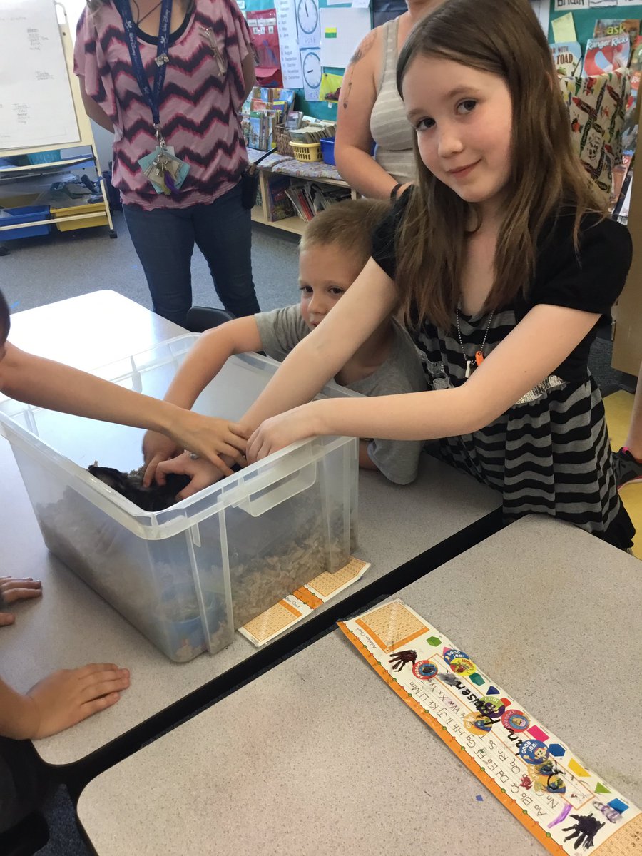 summerjoy57's tweet photo. Zoey's sharing! # teachimlay https://t.co/i1OQ9dHrY5