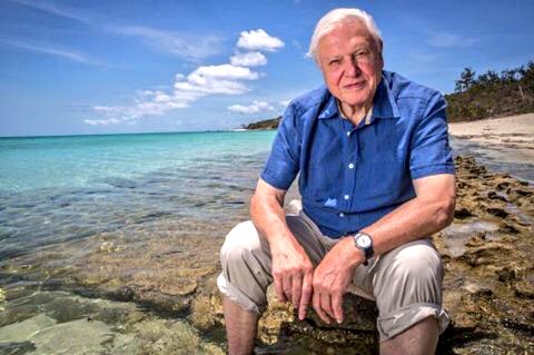 WildYourGarden's tweet photo. Happy Birthday to the most inspirational man on the planet. 92 today and still fighting for #wildlife. Thank you @SirDavidBBC. It’s because of you we now create habitats for wildlife around the UK. RT if you have been inspired by this incredible man. #SirDavidAttenborough https://t.co/X8If2rpyc9