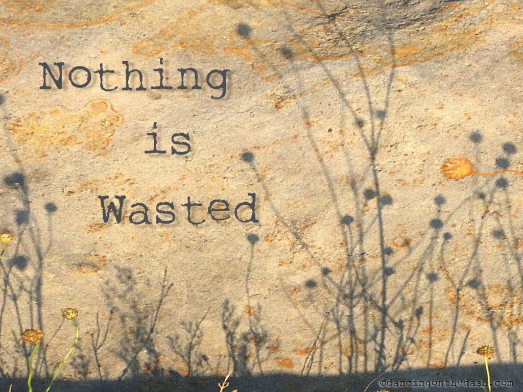 Nothing is Wasted dancingonthedash.com/nothing-is-was…