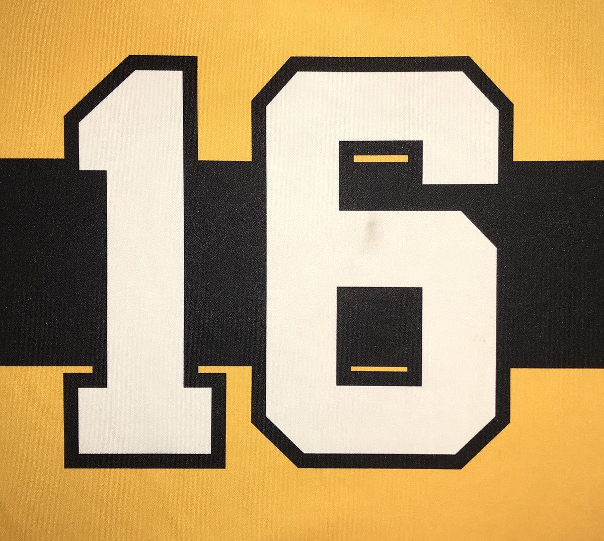 ASHLBruins's tweet photo. Only 16 days until the Bruins invade Calgary for our first North American Championships 🐻🏆 @theASHL https://t.co/5sE16QnIkn